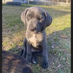 Michael Eichler - @hellsing13 - Instagram