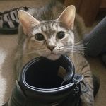 Michael Eischen - @michael.eischen.505 - Instagram