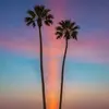 Michael Eld - @michael.eld - TikTok