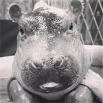 Michael Elderberry - @michaelelderberry - Instagram