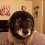 michael eldred - @__mr.dank__ - Instagram