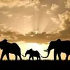 Michael Eldred - @2181799388 - TikTok