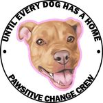 Michael Eliassen - @pawsitivechangecrew - Instagram