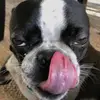 michaelelle - @michaelellee - TikTok