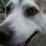 Michael Ellenburg - @michael.ellenburg.52 - Instagram