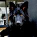 Michael Ellery - Facebook
