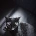 Michael Elrick - Facebook