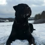 Michael Elsen - @michael.elsen - Instagram