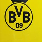 Marvin Michael Elzer - @borussia_dortmund_hejabvb09 - Instagram