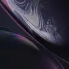 michaeleng - @michaeleng - TikTok