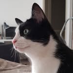 Michael Engbers - @engbersmichael - Instagram