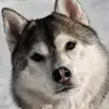 michaelenglert876 - @michaelenglert876 - TikTok
