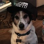 Michael Brandon Enlow - @mbenlow - Instagram