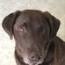 Michael Enlow - Facebook