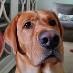 @michaelensor.2 - Instagram