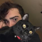 Enzo - @michael_enzo716 - Instagram