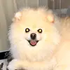 michaelefff - @michaeleofff - TikTok