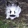 michaelkaeppel - @michaelkaeppel - TikTok