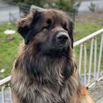 Scheppelmann Michaela - @michaelascheppelmann - Instagram