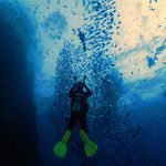 Michael Epstein - @maikeldiving - Instagram