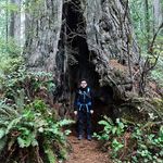 Michael Epstein - @insta_kitsch - Instagram