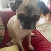 Michael Epstein - @michael.epstein6 - TikTok