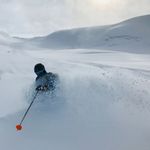 Michael Epstein - @michael_epstein - Instagram