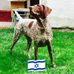 Michael Epstein - Facebook