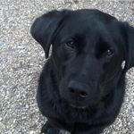 Michael Epstein - @michael.epstein.617 - Instagram