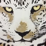Michael Erhard - @erhard_michael - Instagram