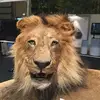 Michael Erhardt - @michael.erhardt4 - TikTok