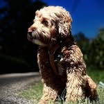 Michael Robin Stephan Erhardt - @michael_erhardt83 - Instagram