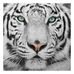 Michael Erhardt - Facebook