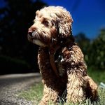 Michael Robin Stephan Erhardt - @michael_erhardt83 - Instagram