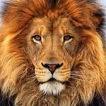 Michael Ericsson - @mje2017 - Instagram