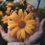 Michael Ericsson - @ericsson3214 - Instagram