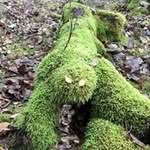 Michael Ericsson - @michael.5321.ericsson - Instagram