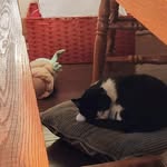Michael Erikson - @merikson4 - Instagram