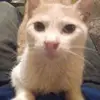 Michael Erikson - @michaelerikson - TikTok