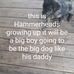 Mike Erpelding - Facebook