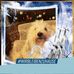 Michael Eschweler - Facebook