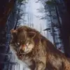 Michael Lesch927 - @michaellesch - TikTok