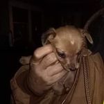 Michael Eslick - @michael.eslick.12 - Instagram