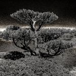 Michael Eslinger - @michaeleslinger - Instagram