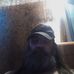 Michael Evans - Facebook