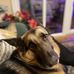 Michael Evanson - Facebook