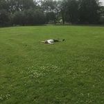 Michael Nino Evensen - @michaelnevensen - Instagram