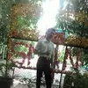n - @michaelsevensen - TikTok