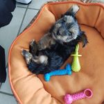 Michael Everts - @everts399 - Instagram