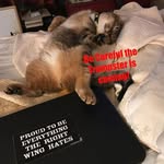 Michael Levitt - @michael.levitt.9 - Instagram
